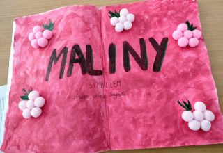 IMG20240227093643~2_copy_2312x1595